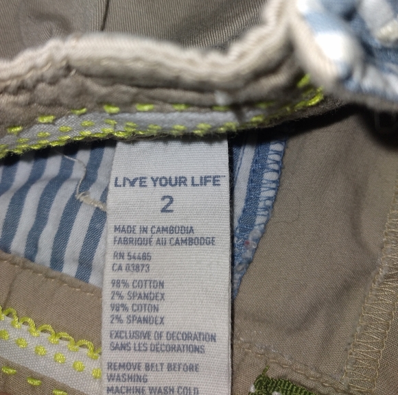 American Eagle 🦅 Khaki Shorts ◇ Size 2 - Picture 4 of 5